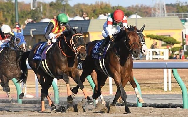 【チャンピオンズC予想】 ダート競馬こそ投資に最適!? 南関の伝説的場立ちがダートの頂上決戦を分析！/JRAレース展望