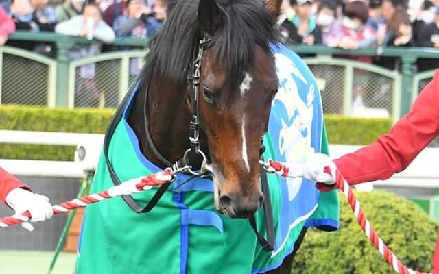 【次走】マイルCS2着インディチャンプは阪神Cへ、引き続き福永祐一騎手とコンビ