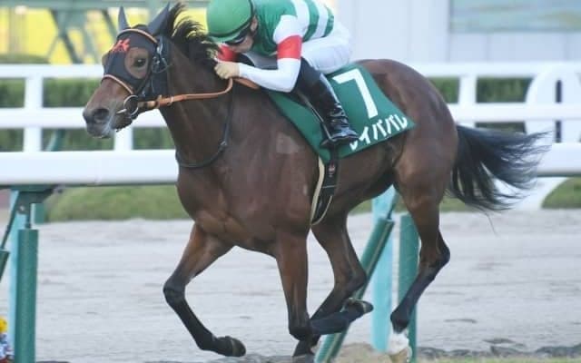 【チャレンジC結果】レイパパレが無傷の5連勝で重賞初制覇！