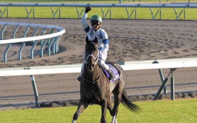 【チャンピオンズC】チュウワウィザードが勝利！クリソベリルは敗れる