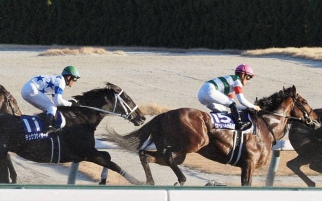 【チャンピオンズC】川田「またこの馬らしい走りが出来るようになれば」レース後ジョッキーコメント