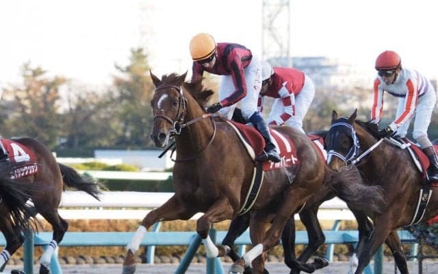 アルバートが競走馬登録抹消