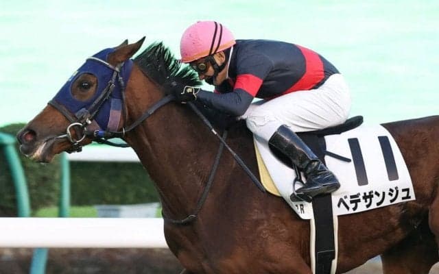 【中山12R】久保田師「素晴らしいエスコート」ベデザンジュが三連勝