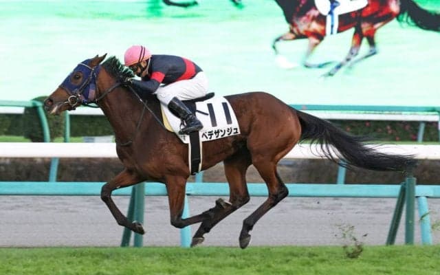 【中山12R】ベデザンジュが3連勝