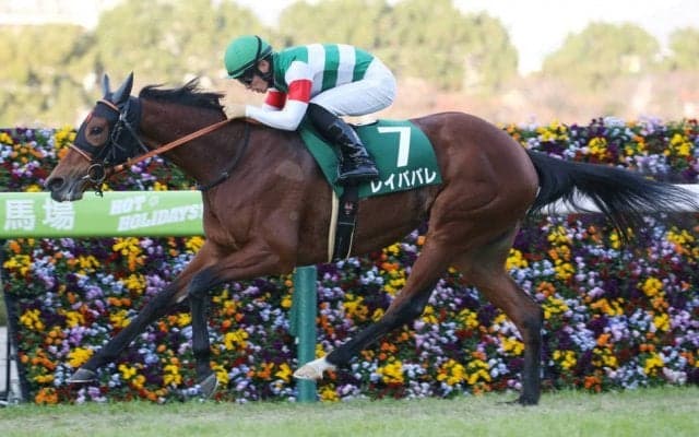 【チャレンジC】レイパパレが無傷の5連勝！