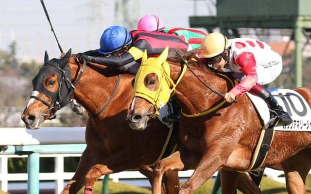 【新馬/阪神5R】エピファネイア産駒 エイシンピクセルがデビューV