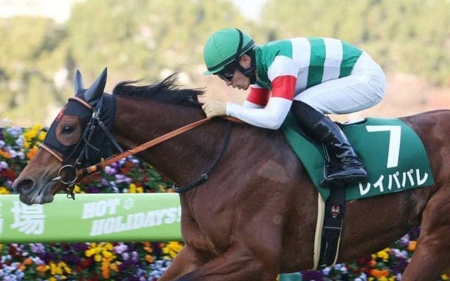 【チャレンジC】川田「血が騒ぎ出した」レイパパレが無傷の5連勝