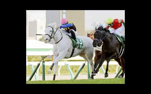 近年では稀に見る大激戦。阪神JFの行方も占う「２歳牝馬ランキング」