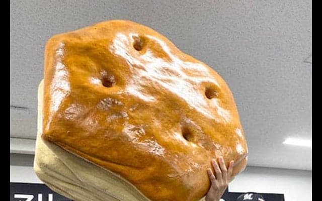 佐々木朗も藤原も学んできたパイの実“秘密”　ロッテドラ1鈴木「深い過程が」