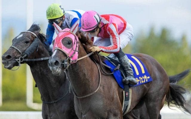 【名古屋GP】枠順ど見所 マスターフェンサー7枠10番