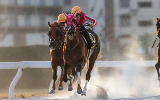 【名古屋グランプリ】マスターフェンサーが交流重賞3連勝！