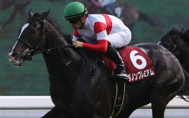 【香港カップ】出馬表が確定