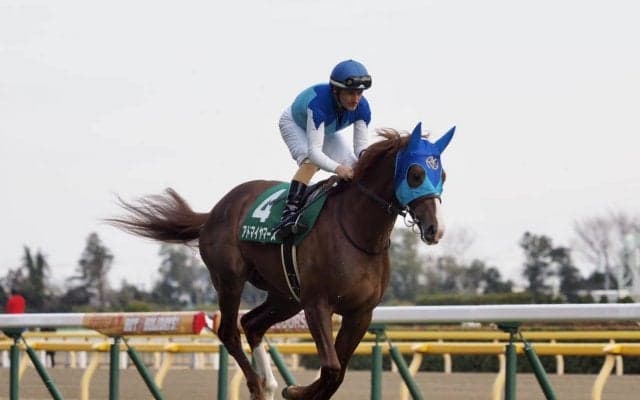 【香港マイル】出馬表が確定