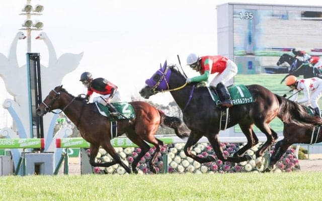 ヴァルディゼールが競走馬登録抹消