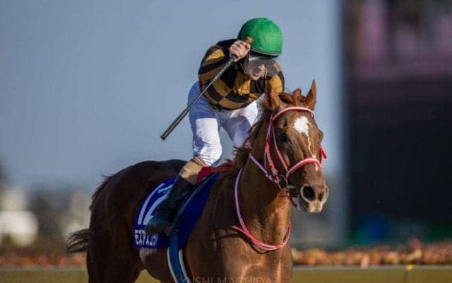 モズアスコットが競走馬登録抹消