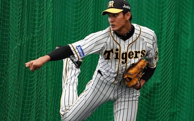 鮮烈だった162キロの衝撃　阪神・藤浪晋太郎は来季完全復活できるか？