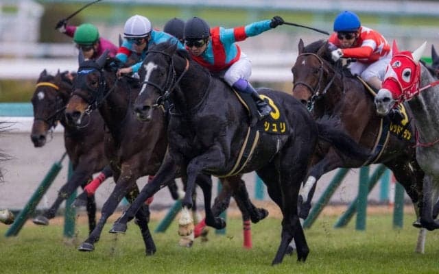【リゲルS】武豊 シュリがオープン初勝利