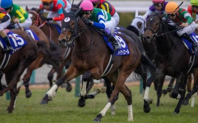 【阪神JF】武豊「惜しかった」レース後ジョッキーコメント