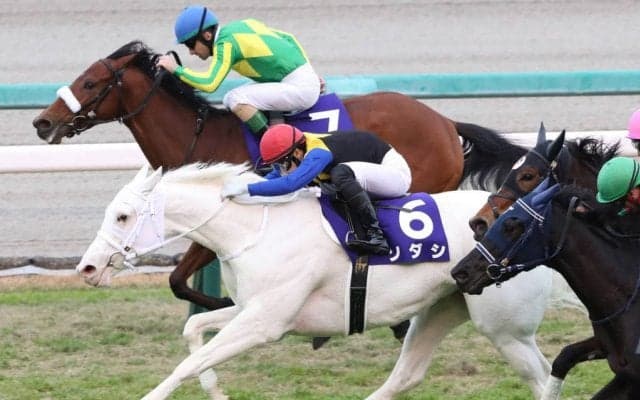 【阪神JF】白毛馬が世界初のG1制覇！ソダシが無傷の4連勝