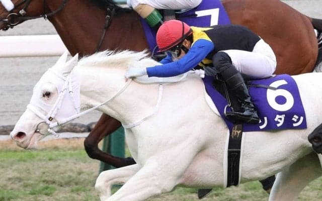 【阪神JF】吉田隼「馬に助けられました」ソダシが歴史的V