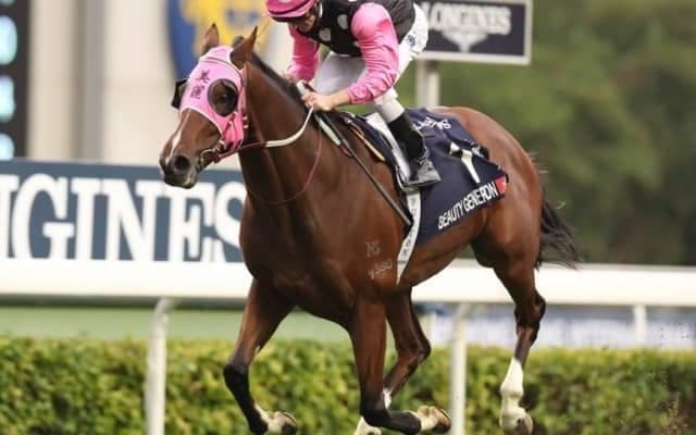 香港の名マイラー・ビューティージェネレーションが引退　豪州で余生を過ごす