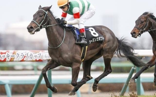 【ターコイズS展望】暮れの牝馬限定ハンデ戦、好走の条件とは
