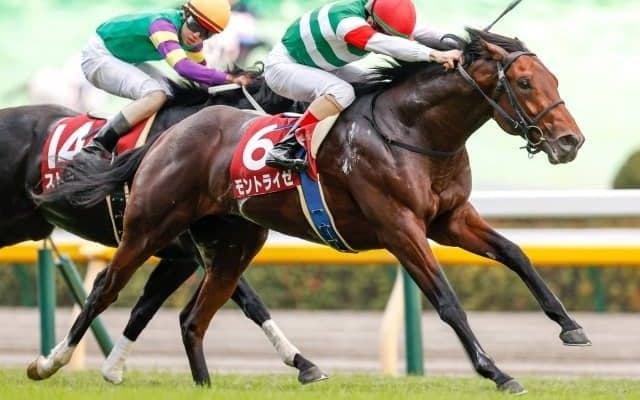 【朝日杯FS】フルゲートの18頭が登録　2頭は重複登録