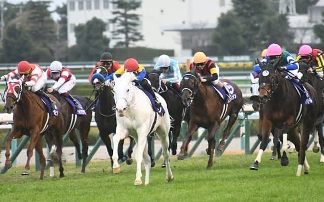 【阪神JF回顧】日本の血統を力強く支えている“クロフネの血”/栗山求コラム