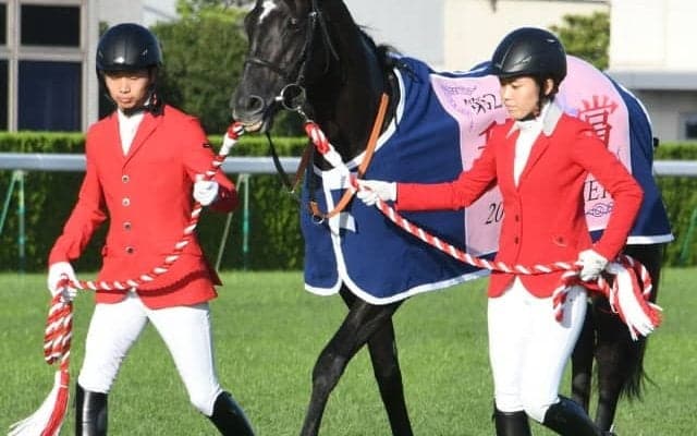 【有馬記念 出走馬決定順】フルゲート16頭に23頭　回避がなければオセアグレイトまで出走可能、クレッシェンドラヴ以降が除外対象に