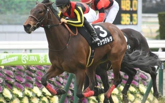 【ターコイズS】ドナウデルタはルメール騎手、スマイルカナは柴田大知騎手/想定騎手