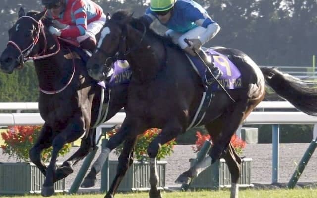 【次走】アリストテレスはAJCCへ　菊花賞でコントレイルのクビ差2着