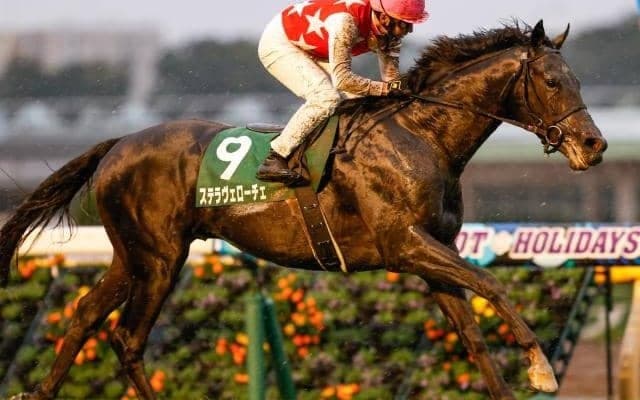 【朝日杯FS展望】2歳マイル王決定戦、あの馬の戴冠を期待したい