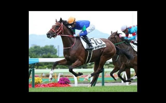 朝日杯FSで混戦必至も抜け出せる３頭。当日は馬場状態も要チェックだ