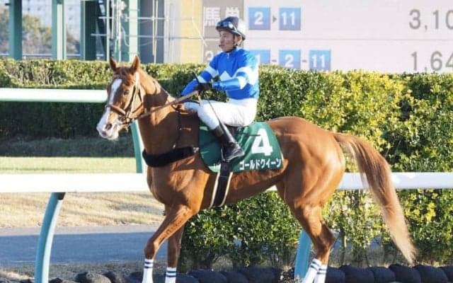 【兵庫ゴールドトロフィー】JRA出走予定馬