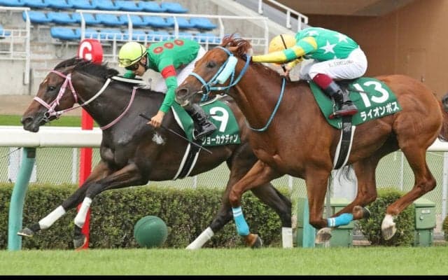 ジョーカナチャンが競走馬登録抹消