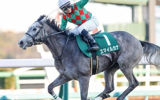 【本日の注目ポイント】中山で牝馬限定ハンデ戦・ターコイズS、阪神ではOP・タンザナイトS