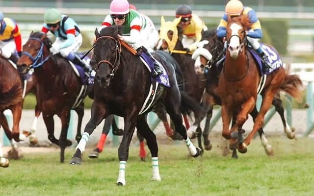 【朝日杯FS予想】 勝ち馬は血統と距離経験から見える!? 阪神のマイル戦を得意とする種牡馬とは？/JRAレース展望