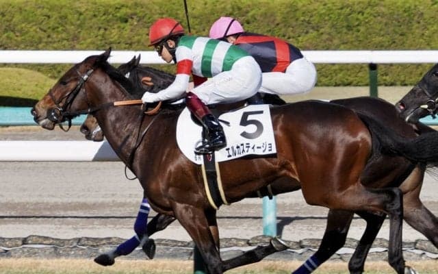 【新馬/阪神6R】ロードカナロア産駒 エルカスティージョが完勝