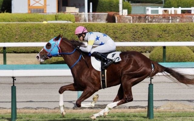 【新馬/阪神5R】モーリス産駒 タイソウが抜け出す