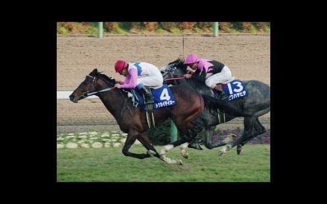 有馬記念で史上最高の復活劇。トウカイテイオーが起こした奇跡に感涙