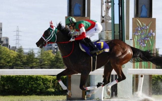【兵庫ゴールドトロフィー】枠順と見所 ラプタスは8枠12番