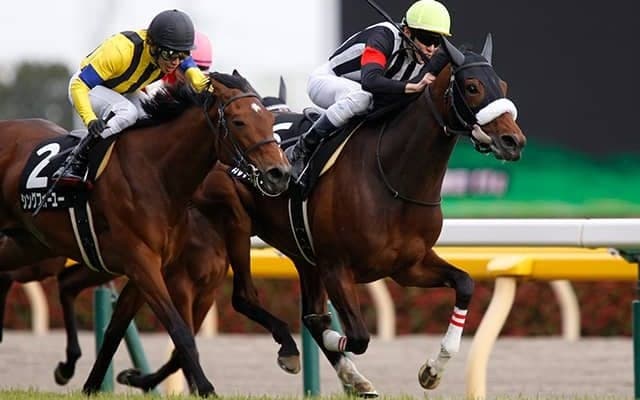 【有馬記念予想】 データからは不安の残るクロノジェネシス＆フィエールマン！ 展開から“狙って面白い馬”は？/JRAレース展望