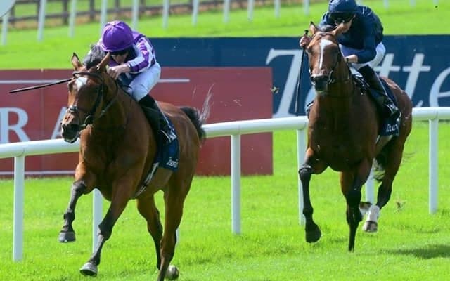 【海外競馬】名牝マジカルが引退、繁殖入り　英愛チャンピオンSなどG1・7勝