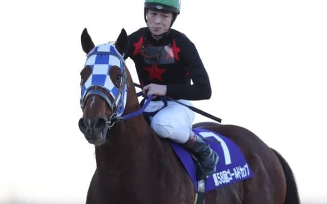 【ゴールドC全着順】ラストランのブルドッグボスが4馬身差圧勝！