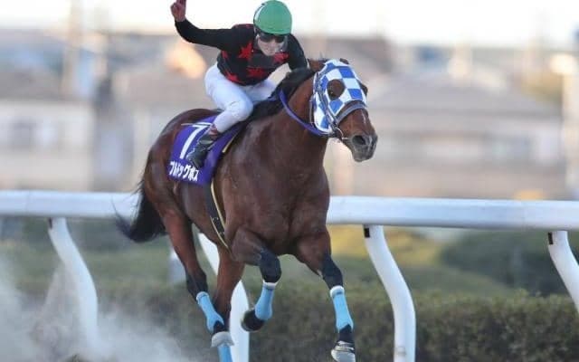 【浦和・ゴールドC結果】ブルドッグボスが有終の美を飾る