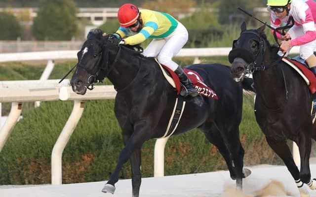 【園田・兵庫ゴールドT結果】サクセスエナジーが得意の1400mで重賞5勝目！