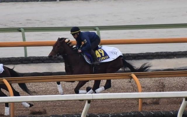 ダノンザキッド、ホープフルS最終追い切り速報/栗東トレセンニュース