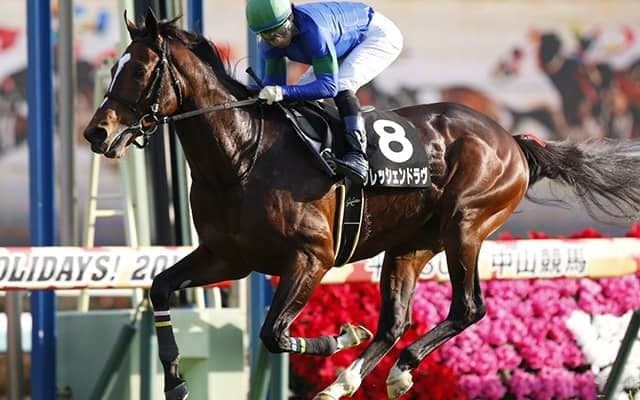 【有馬記念】クレッシェンドラヴが坂井瑠星騎手とのコンビで参戦、ミッキースワロー回避で出走可能に