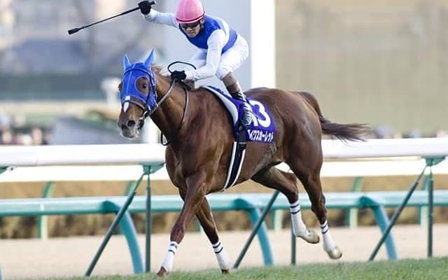【有馬記念予想】 ネズミ年は4歳馬が強い!? データdeア・ラ・カルト/JRAレース展望