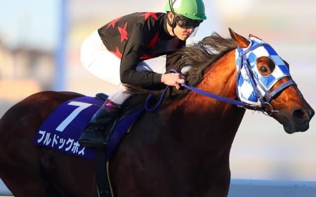 【ゴールドC】ブルドッグボスが有終の美、御神本訓史騎手「ずっとありがとうと言いながら」